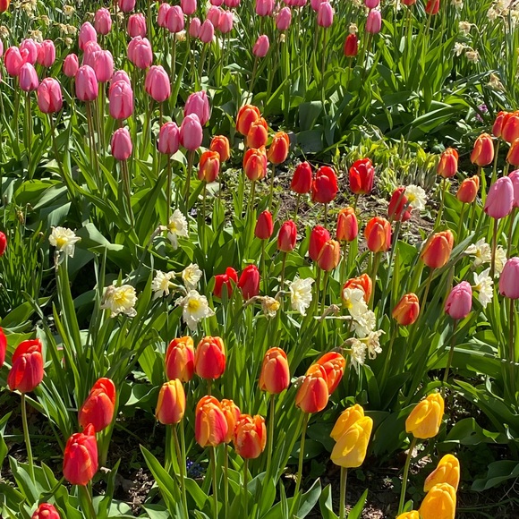 Meet your Posher, Kate - Picture 12 of 17